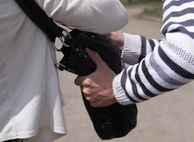 Рязанец украл сумочку у женщины, кормившей голубей | ya62.ru