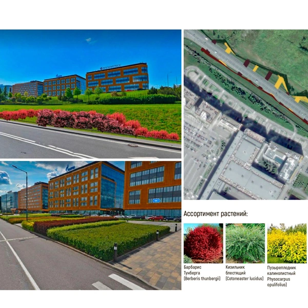 Источник: конкурсная документация