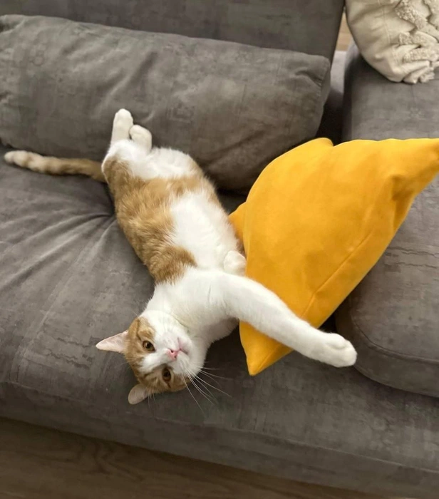 Переживать морозы нужно с комфортом  | Источник: читательница НГС Светлана