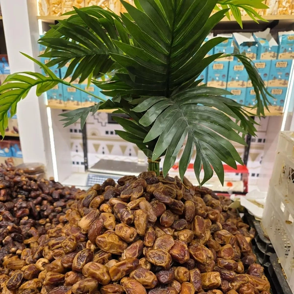 «Городок хоббитов» и подземный дом на 8 семей в пустыне: россиянин рассказал, зачем стоит лететь в Ливию