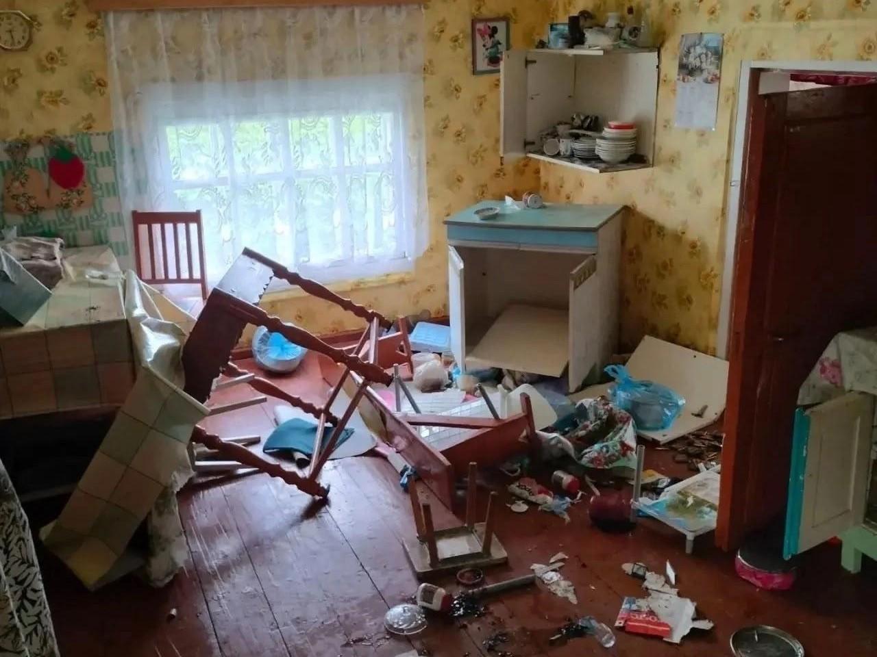 «Это очень страшно»: медведи нападают на отдаленные деревни в Поморье и громят дома людей