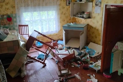 Медведи разгромили 20 домов в Поморье