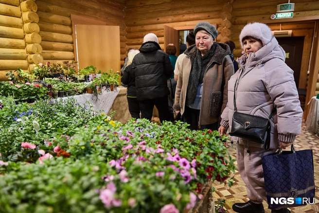 В марте начнется самый активный посевной сезон, поэтому стартовали и ярмарки-выставки | Источник: Александр Ощепков / NGS.RU