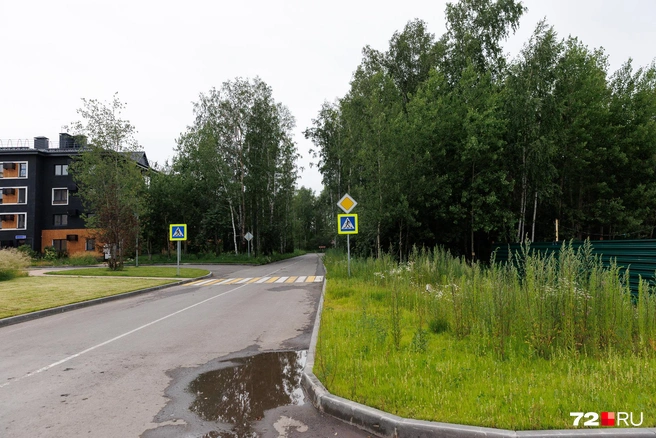 В надежде, что верно выстроили маршрут, оставили машину тут, и дальше&nbsp;— пешком | Источник: Ирина Шарова / 72.RU
