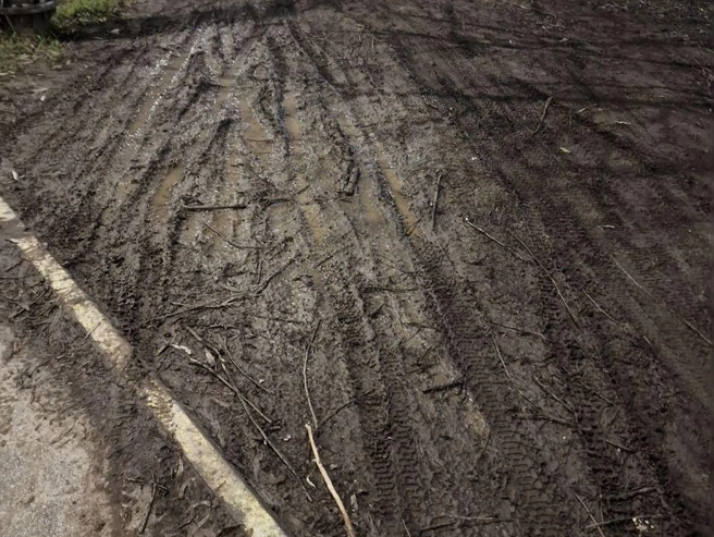 Такое фото прислал рязанец | Источник: из комментариев в соцсетях Павла Малкова