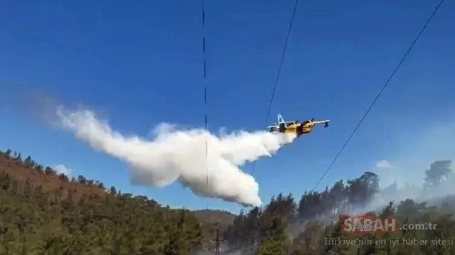 Для тушения пожаров в Анталье задействовали все силы | Источник: Sabah.com.tr