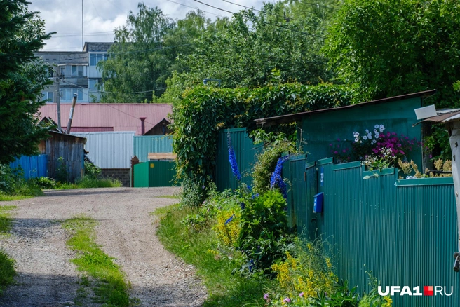 Столько цветочков у кого-то растет | Источник: Булат Салихов / UFA1.RU