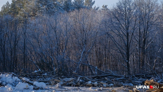 Городу выплатили компенсацию | Источник: Булат Салихов / UFA1.RU