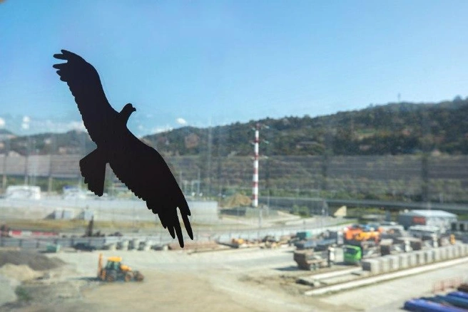 На эстакаде обхода Адлера в Сочи появились силуэты хищных птиц | Источник: пресс-служба ГК «Автодор»