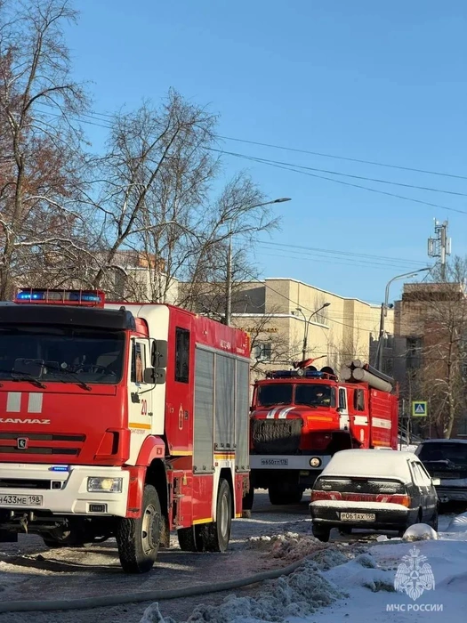 Источник: ГУ МЧС России по Санкт-Петербургу