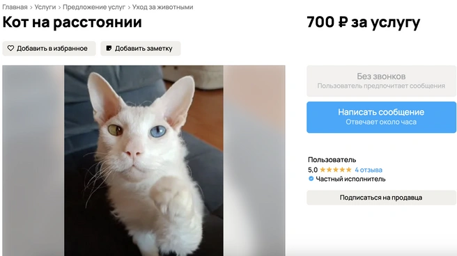 Источник: сайт объявлений