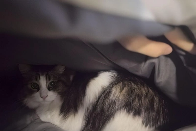 Трубу на Фонтанке, оставившую дома без тепла, починили