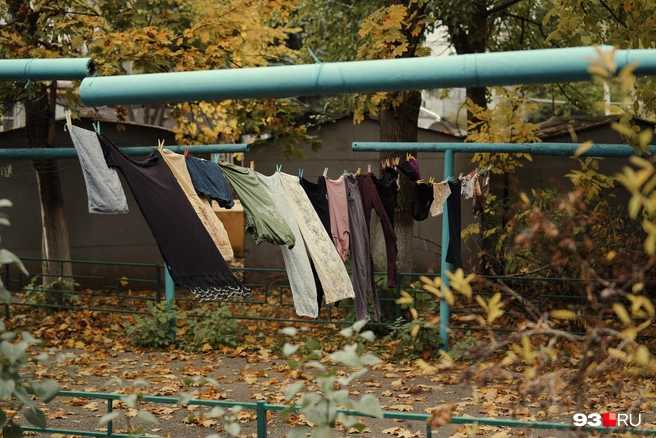 Приметы предсказывают теплую погоду | Источник: Дарья Паращенко / 93.RU