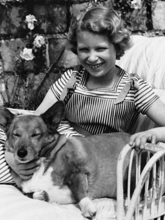 Королева и ее корги: самые трогательные фото Елизаветы II с любимыми собаками
