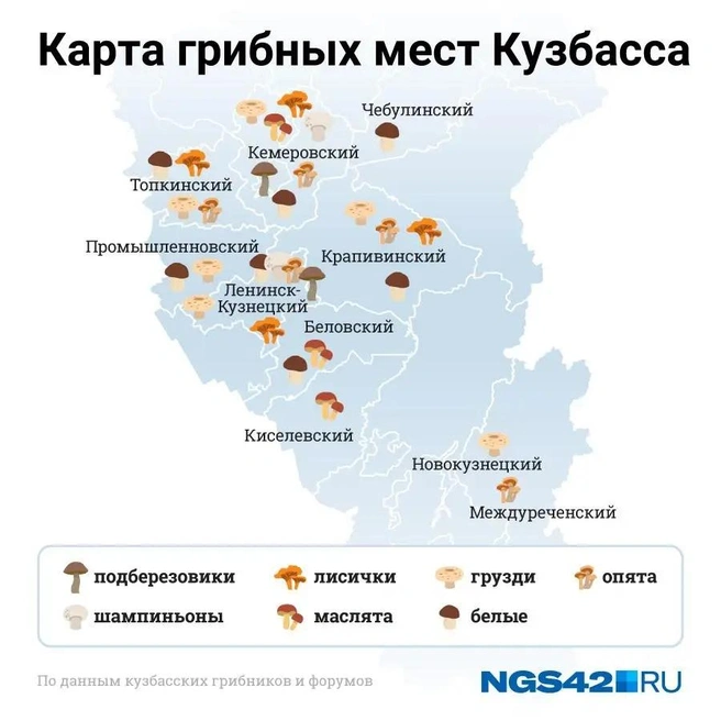 Источник: NGS42.RU