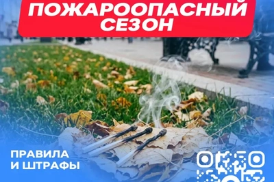 Полиция и МЧС усилили противопожарные рейды на Южном Урале