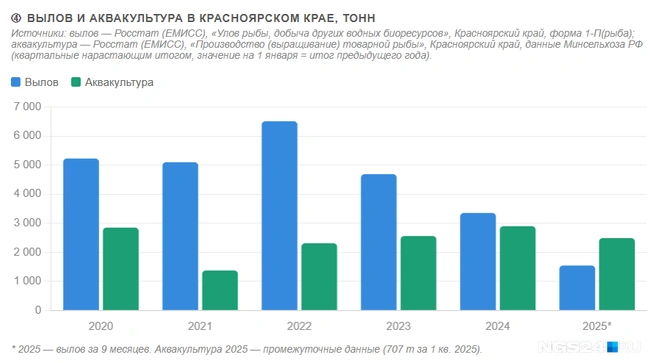 Вылов рыбы в Красноярском крае сократился на треть за пять лет, аквакультура не компенсирует потери. В сумме край производит около 5&nbsp;800 тонн в год&nbsp;— меньше 10% от рекомендуемой нормы потребления. | Источник: Геннадий Денисов / NGS24.RU