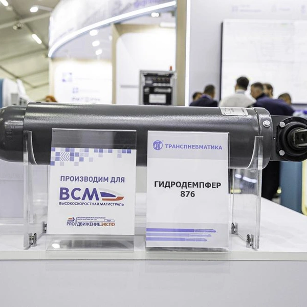 Источник: инфоцентр ВСМ