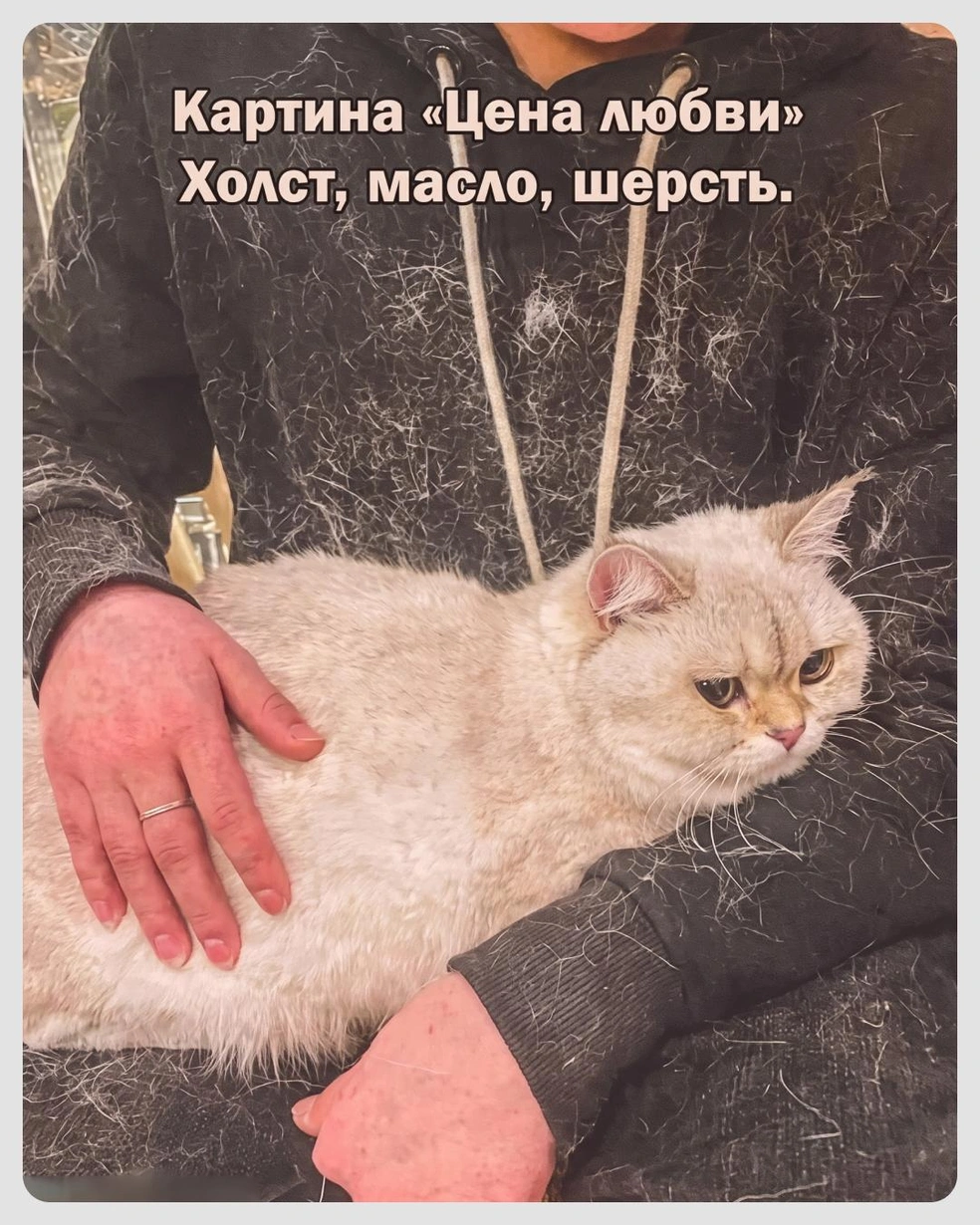 Зато сразу видно, что у человека есть кот | Источник: Городские медиа