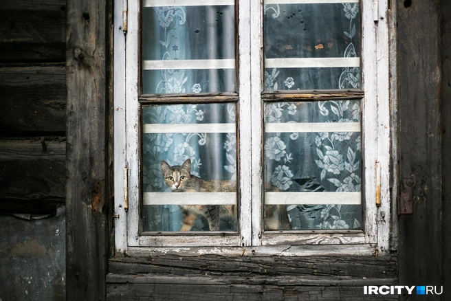 «На бабье лето пока не рассчитываем». Синоптики рассказали о погоде в Иркутске на этой неделе | Источник: Ксения Филимонова / «ИрСити»