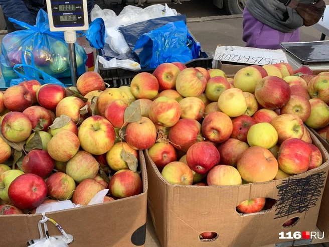 Стоили они 100 рублей за килограмм | Источник: Ильгиз Шарифзянов / 116.RU