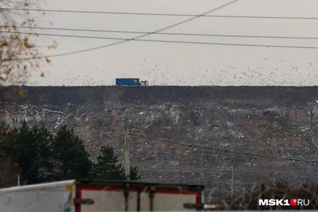 «У нас тут из-за воды была война»: как в Подмосковье целая деревня живет рядом с крупнейшей свалкой Европы | Источник: Артем Устюжанин / MSK1.RU