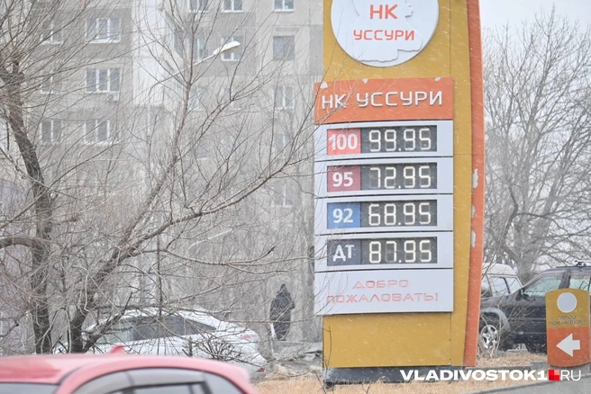 Источник: Елена Буйвол / VLADIVOSTOK1.RU