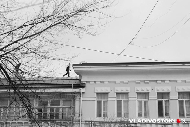 Источник: Елена Буйвол / VLADIVOSTOK1.RU