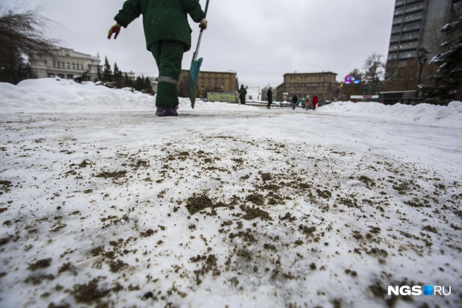 О конкретных локациях просят сообщат дорожкам | Источник: Густаво Зырянов / NGS.RU