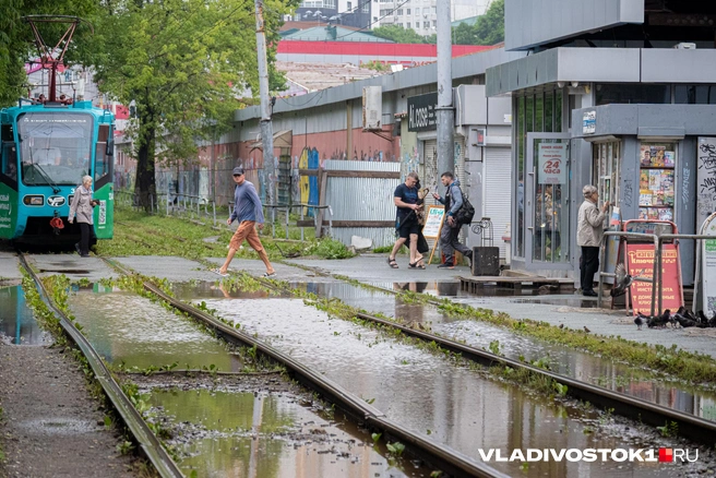 Дожди будут идти еще несколько дней | Источник: Елена Буйвол / VLADIVOSTOK1.RU