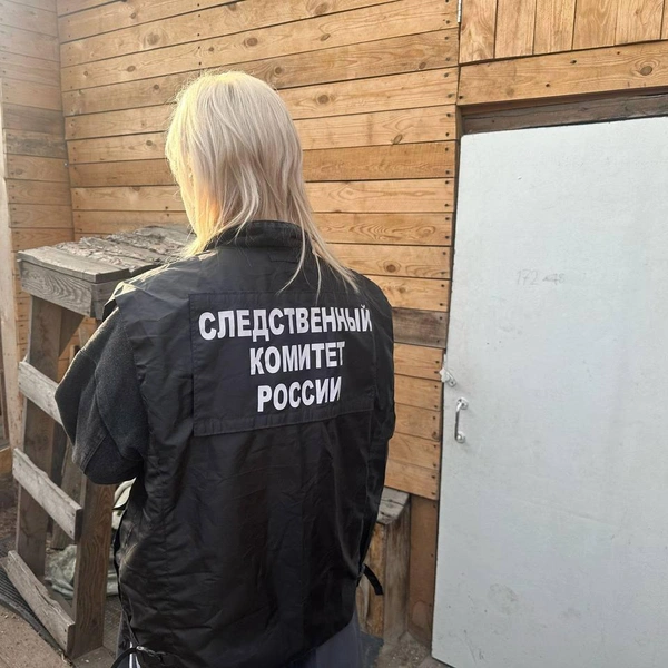 Источник: ГСУ СК России по Красноярскому краю и Республике Хакасия