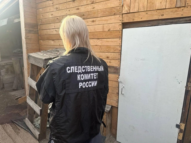 Девушка состояла на учете психиатра | Источник: ГСУ СК России по Красноярскому краю и Республике Хакасия / Telegram