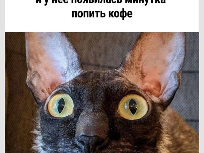 Ни капли не устала | Источник: Городские медиа