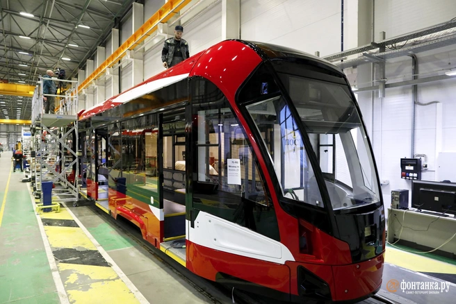 Источник: Дарья Драй/«Фонтанка.ру»