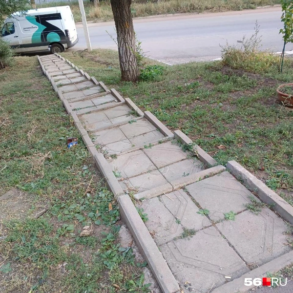 Источник: Анастасия Баринова / 56.RU
