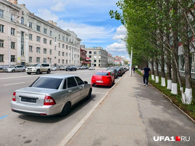Хитрец | Источник: Булат Салихов / UFA1.RU