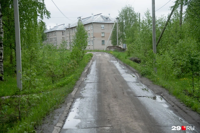 Дорога, ведущая к Танковому поселку | Источник: Иван Митюшёв / 29.RU 