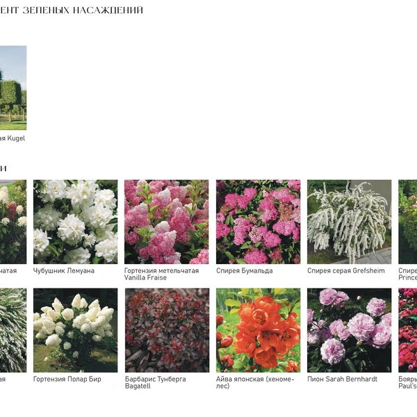 Источник: конкурсная документация