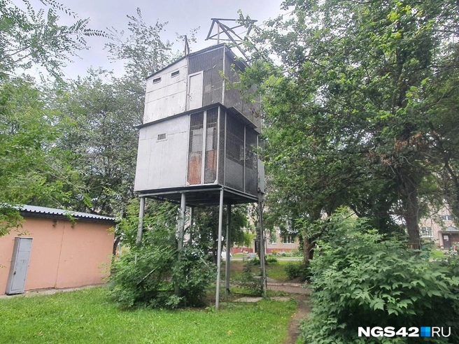 Источник: Полина Чернядьева / NGS42.RU