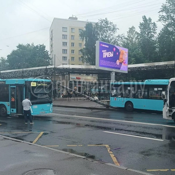 Столб упал на автобус на бульваре Новаторов в Петербурге | Источник: читатель «Фонтанки»
