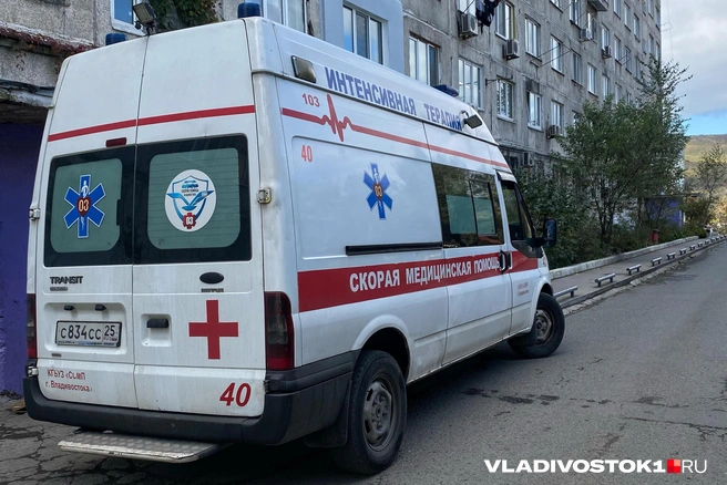 Громкое дело расследует следком | Источник: Елена Буйвол / VLADIVOSTOK1.RU