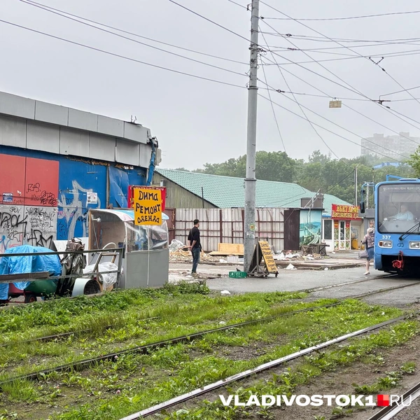 Источник: Елена Буйвол / VLADIVOSTOK1.RU