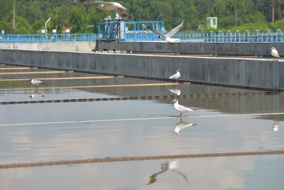 «Четкий план не сформирован»: Болотов об отмене конкурса