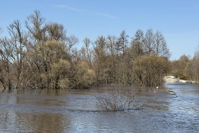 Мост в Рязанской области закрыли из-за подъема воды