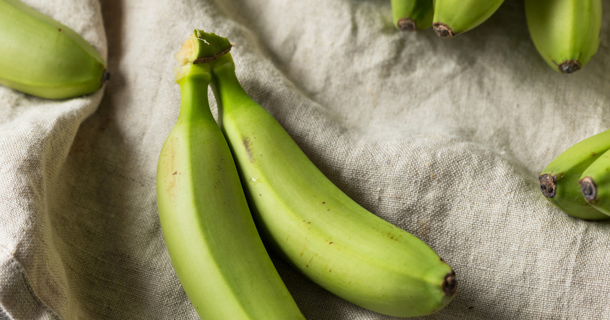 Можно есть зеленые бананы. Зеленые бананы. Мини бананы зеленые. Бананы зеленые Сибирские. Недозрелые бананы.