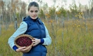 Сила северных ягод: самые полезные способы заготовки брусники и клюквы на зиму