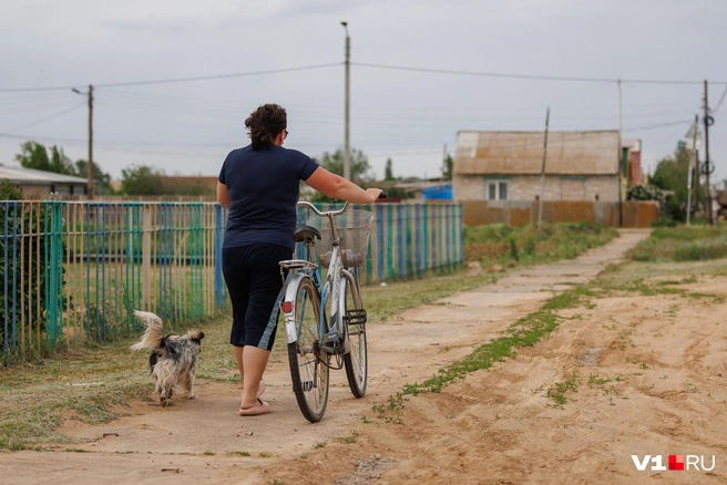 Наталья стала свидетелем происшествия совершенно случайно | Источник: Алексей Волхонский / V1.RU
