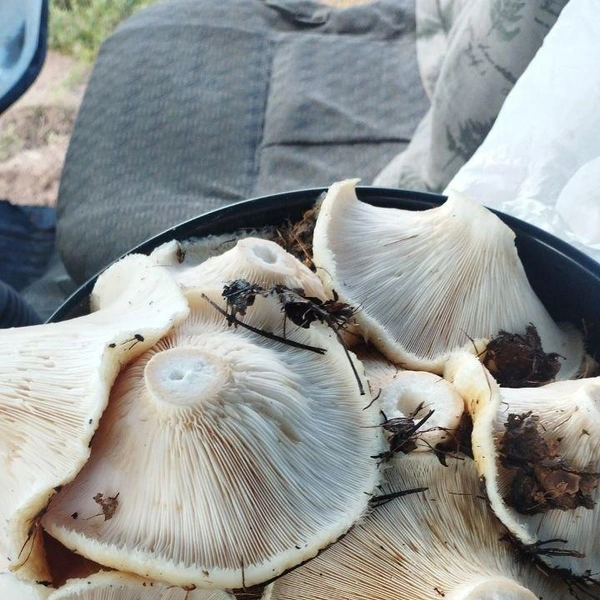 Источник: читатель «Чита.Ру»