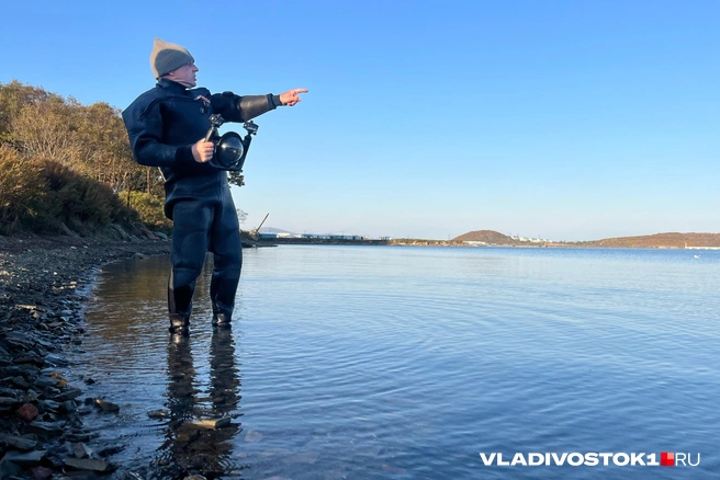 Источник: Елена Буйвол / VLADIVOSTOK1.RU