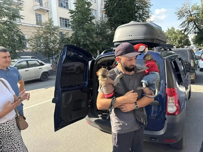 Источник: Пресс-служба администрации Вахитовского и Приволжского районов